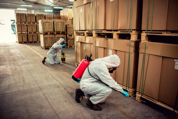 Best Cockroach Control Services  in Independent Hill, VA