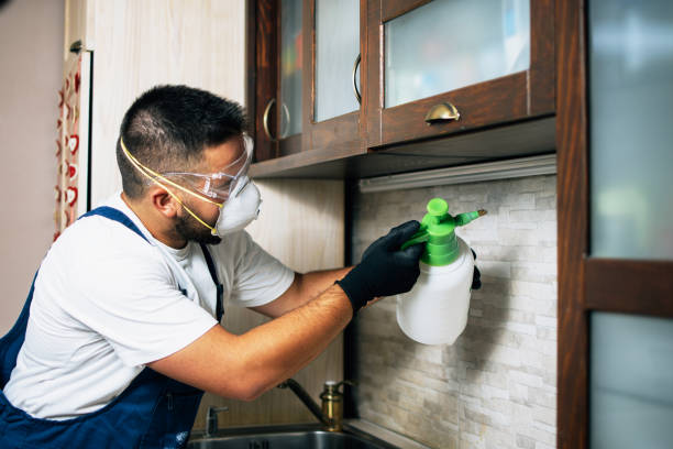 Best Residential Pest Control  in Independent Hill, VA