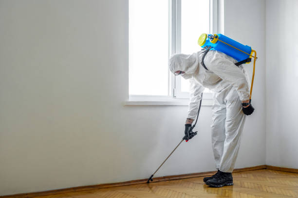 Best Pest Control Near Me  in Independent Hill, VA