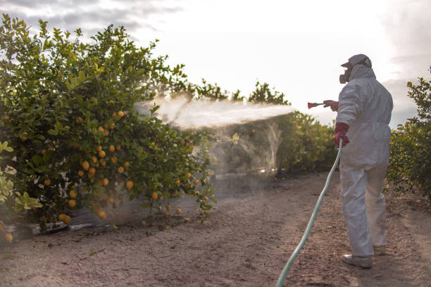 Best Commercial Pest Control Services  in Independent Hill, VA