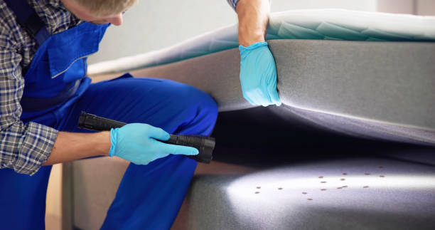 Best Commercial Pest Control Services  in Independent Hill, VA
