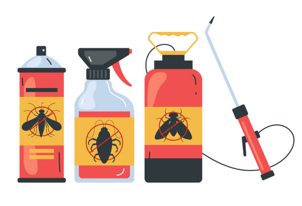 Best Insect Control  in Independent Hill, VA
