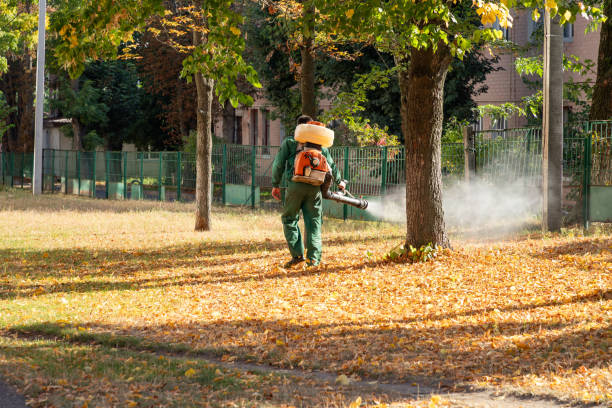 Best Bird Control  in Independent Hill, VA